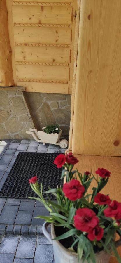 Goralskie Domki Na Podhalu - Z Jacuzzi Maniowy Eksteriør billede